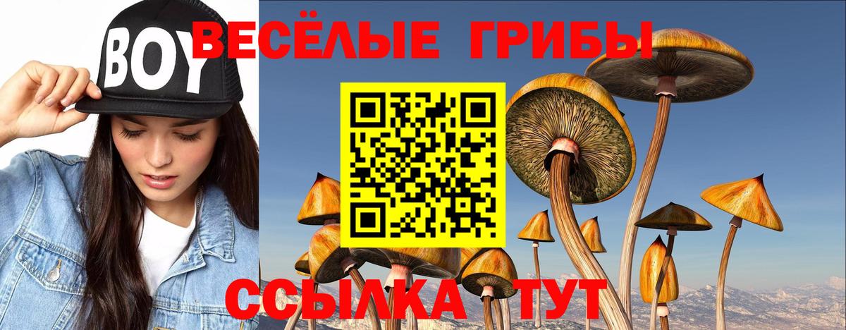 где продают наркотики  Псилоцибиновые грибы прущие грибы  Вход с VPN  Истра 