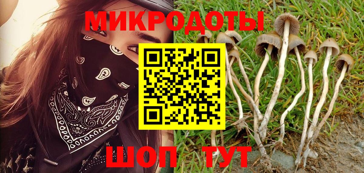 Галлюциногенные грибы Psilocybine cubensis Истра